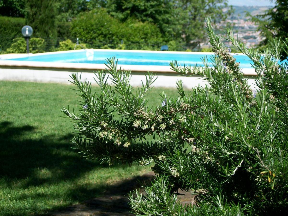B&B Luna Blu Montesilvano Exterior foto