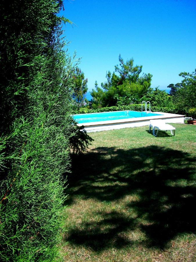 B&B Luna Blu Montesilvano Exterior foto